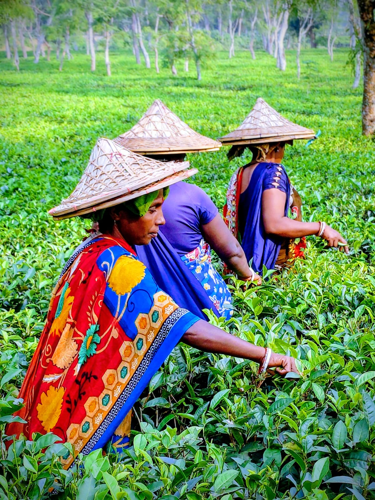 WhatsApp Image 2026 01 15 at 12.12.08 PM